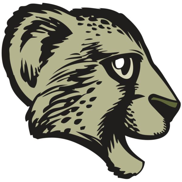 BAW CHEETAH 17 RC Thumbnail