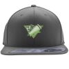Flexfit 110F Structured Flat Bill Snapback Hat Thumbnail