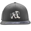 Flexfit 110F Structured Flat Bill Snapback Hat Thumbnail