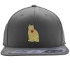 Flexfit 110F Structured Flat Bill Snapback Hat Thumbnail