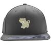 Flexfit 110F Structured Flat Bill Snapback Hat Thumbnail