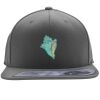 Flexfit 110F Structured Flat Bill Snapback Hat Thumbnail