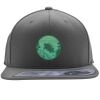 Flexfit 110F Structured Flat Bill Snapback Hat Thumbnail