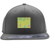 Flexfit 110F Structured Flat Bill Snapback Hat Thumbnail