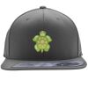 Flexfit 110F Structured Flat Bill Snapback Hat Thumbnail