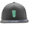 Flexfit 110F Structured Flat Bill Snapback Hat Thumbnail