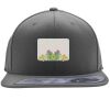 Flexfit 110F Structured Flat Bill Snapback Hat Thumbnail