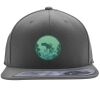 Flexfit 110F Structured Flat Bill Snapback Hat Thumbnail