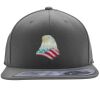 Flexfit 110F Structured Flat Bill Snapback Hat Thumbnail
