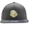 Flexfit 110F Structured Flat Bill Snapback Hat Thumbnail