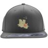 Flexfit 110F Structured Flat Bill Snapback Hat Thumbnail