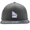 Flexfit 110F Structured Flat Bill Snapback Hat Thumbnail