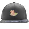 Flexfit 110F Structured Flat Bill Snapback Hat Thumbnail
