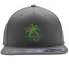 Flexfit 110F Structured Flat Bill Snapback Hat Thumbnail