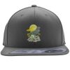 Flexfit 110F Structured Flat Bill Snapback Hat Thumbnail