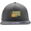 Flexfit 110F Structured Flat Bill Snapback Hat Thumbnail
