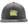 Flexfit 110F Structured Flat Bill Snapback Hat Thumbnail