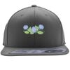 Flexfit 110F Structured Flat Bill Snapback Hat Thumbnail