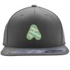 Flexfit 110F Structured Flat Bill Snapback Hat Thumbnail