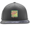Flexfit 110F Structured Flat Bill Snapback Hat Thumbnail