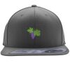 Flexfit 110F Structured Flat Bill Snapback Hat Thumbnail