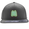 Flexfit 110F Structured Flat Bill Snapback Hat Thumbnail