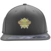 Flexfit 110F Structured Flat Bill Snapback Hat Thumbnail