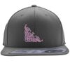 Flexfit 110F Structured Flat Bill Snapback Hat Thumbnail