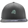 Flexfit 110F Structured Flat Bill Snapback Hat Thumbnail