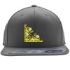 Flexfit 110F Structured Flat Bill Snapback Hat Thumbnail