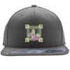 Flexfit 110F Structured Flat Bill Snapback Hat Thumbnail