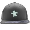 Flexfit 110F Structured Flat Bill Snapback Hat Thumbnail