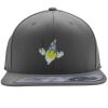 Flexfit 110F Structured Flat Bill Snapback Hat Thumbnail