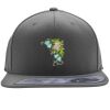 Flexfit 110F Structured Flat Bill Snapback Hat Thumbnail