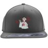Flexfit 110F Structured Flat Bill Snapback Hat Thumbnail