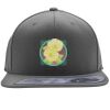 Flexfit 110F Structured Flat Bill Snapback Hat Thumbnail