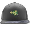 Flexfit 110F Structured Flat Bill Snapback Hat Thumbnail
