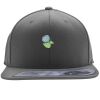 Flexfit 110F Structured Flat Bill Snapback Hat Thumbnail